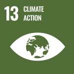 sdg_icon_13